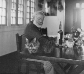 awww.petanim.com_wp_content_uploads_2010_10_hemingway.jpg