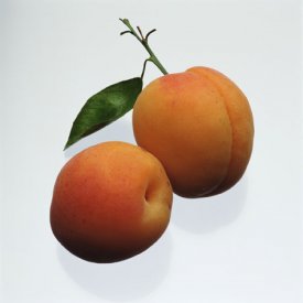 awww.cspinet.org_cspi_images_peaches.jpg