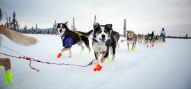 aa.espncdn.com_i_eticket_20130410_photos_otl_iditarod_02b_1600.jpg