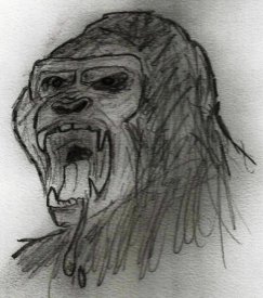 Gorilla.jpg Gorilla.jpg