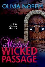 Wicked Wicked Passage Cover JPG 200px x 300px.jpg