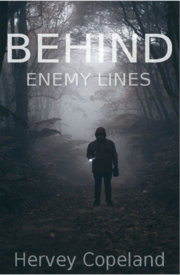 behindenemylinesbookcover.jpg behindenemylinesbookcover.jpg