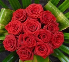 ai107.photobucket.com_albums_m284_ladycordelia_HT_Red_Roses.jpg