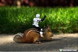 athechive.files.wordpress.com_2010_08_sqirrel_star_wars_3.jpg_d1efefed2c688f312c8318b314fcfe4e.jpg