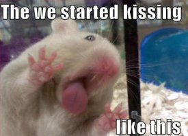 awww.neonfeather.com_pics2_funny_pictures_hamster_kiss_glass.jpg