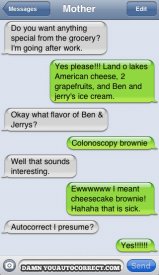 adamnyouautocorrect.com_images_bj_brownie.jpg