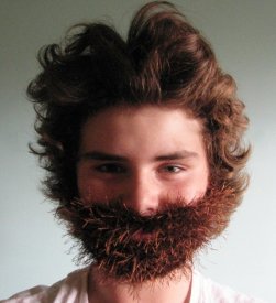 awhatnottocrochet.files.wordpress.com_2011_05_beard2.jpg