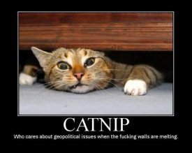 ai5.photobucket.com_albums_y187_sparkchaser1998_THH_LOL_catnip.jpg