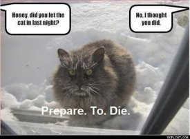 awww.roflcat.com_images_cats_Prepare_To_Die.jpg
