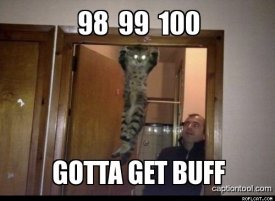 awww.roflcat.com_images_cats_Gotta_Get_Buff.jpg