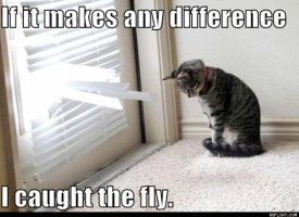 awww.roflcat.com_images_cats_I_Caught_The_Fly.jpg