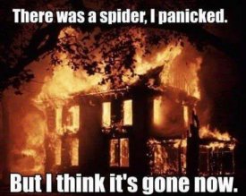 ai5.photobucket.com_albums_y187_sparkchaser1998_LOL_spider.jpg