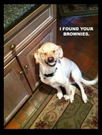 ai178.photobucket.com_albums_w257_mags051_brownies.jpg