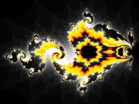 asprott.physics.wisc.edu_FRACTALS_COLLECT_2000_random_2520flame.jpg