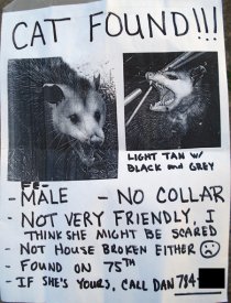 awww.myballard.com_images_possum_poster.jpg