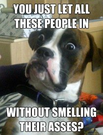 aquicklol.com_wp_content_uploads_2012_05_shocked_dog_meme_funny.jpg