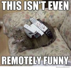 aweknowmemes.com_wp_content_uploads_2012_09_remotely_funny_cat.jpg