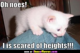awww.ihasaflavor.com_lolcats_i_is_scared_of_heights.jpg