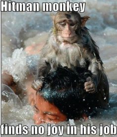 ai668.photobucket.com_albums_vv44_Artimodes_hitman_monkey_finds_no_joy_in_his_j.jpg