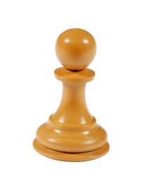 aphoto_dictionary.com_photofiles_list_5558_7276chess_pawn.jpg