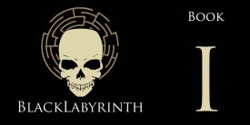 awww.darkregions.com_template_images_misc_Black_Labyrinth_Book_Number_1.jpg