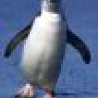penguinlord