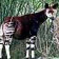 zokapi