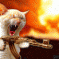 Sillyorangecat