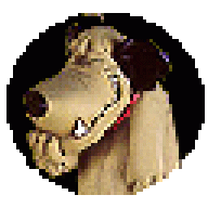 petulant_seraph