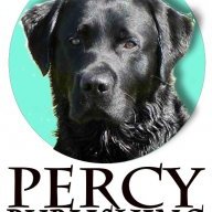 Percy Publishing