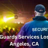 guardianeaglesecurity