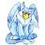 dragonrider458