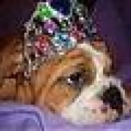 PrincessBulldog