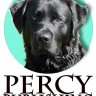 Percy Publishing